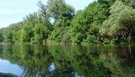 Cult movie "I Even Met Happy Gypsies" was shot in this Danube marshland : Europe's Amazon in Serbia