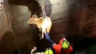 Iz bunara izvukli kozu koja je u njemu provela četiri dana: Akcija spasavanja trajala preko tri sata