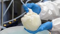 Prvo srce uzgojeno od tkiva iz organa svinje i ljudskih ćelija: Budućnost "pravljenja" personalizovanog srca