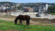 FOTO UBOD: Kontrast Zlatibora u jednoj slici - dok konj pase, iza njega niču zgrade