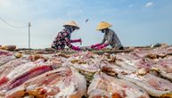 Neverovatan postupak sušenja ribe pred "izlazak" na pijace: Ovako to rade Vijetnamci