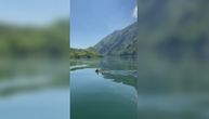 Kakva scena: Srndać preplivava jezero kako bi u susednoj Bosni našao partnerku za parenje