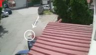Ovako se u Beogradu kradu kućni ljubimci: Slađa je objavila neverovatan snimak iz svog dvorišta