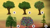 Test otkriva koja vaša osobina je dominanta: Odaberite jedno drvo sa ilustracije i saznajte