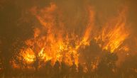 Požar u Španiji opustošio oko 30.000 hektara zemlje zbog ekstremno visokih temperatura