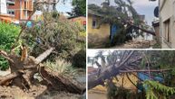 Oluja čupala drveće iz korena, ulice potopljene, pao grad veličine oraha: Stravično nevreme u Bujanovcu