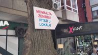 "Momak za ženidbu, pitati u lokalu": Zbog ovog znaka su devojke poludele na Vračaru, a mi smo upoznali Ivana