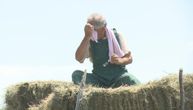 "Nemamo vremena da se mažemo kremama, niti za dezinfekciju": Srpski seljaci rade i po najvećim vrućinama