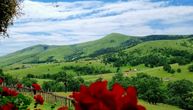 Vucic publishes photo of this week's contest winner: Budimir captured a wonderful scene on Mt. Zlatibor