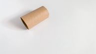 Iskoristite ove tri stvari i dajte im novu namenu: Karton od toalet-papira može postati saksija
