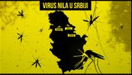 Saznajemo: Komarci u Srbiji zaraženi virusom Zapadnog Nila, oprez u ova 3 grada