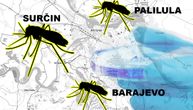 Virus Zapadnog Nila detektovan na 6 lokacija u gradu: Ove tri opštine su ugrožene, izbegavajte noćne šetnje