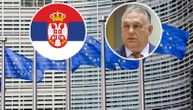 Prošao rok za amandmane na Piculin izveštaj, FIDES pokušao da promeni sporne paragrafe za Srbiju