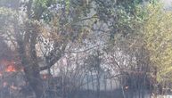 Veliki požar na ostrvu Vir: Vatra zahvatila šumu, približila se kućama