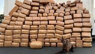 "Veoma dobar dečko": Pas Milo otkrio više od 2 tone metamfetamina na američko-meksičkoj granici