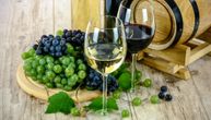 Vučić: Verujem da ćemo na sajmu vina privući veliko interesovanje italijanskih kupaca