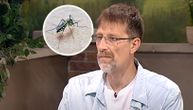 Hrvatska suzbija tigraste komarce, već im registrovana čikungunja groznica: Postoji li pretnja po Srbiju?