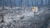 Potresni prizori iz Slovenije: Požar gutao sve pred sobom, situacija dramatična