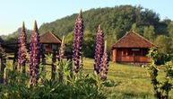 Etno-sela kod Kosjerića idealna su za vikend, ali i za duži odmor: Vajati u zelenom raju