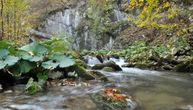 Reka u Srbiji protiče kroz prašumu i pravi nestvarno lep kanjon: Sva lica Resave