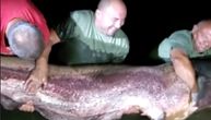 Hrvatski ribolovci ulovili grdosiju od dva i po metra: "Ovo je riba života, ima oko 100 kilograma"
