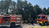 Požar na Fruškoj gori: Vatrogasci obuzdavali buktinju da ne bi zahvatila šumu