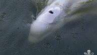 Francuska sprema plan za spasavanje kita iz Sene: Vozila ne mogu do reke, sve će morati da se radi ručno
