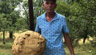Čudo prirode u selu kod Nove Varoši, džinovska gljiva puhara: Unutrašnjost ispunjena lekovitim prahom