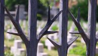 U ovom srpskom gradu nalazi se jedino uređeno vojničko groblje iz Prvog svetskog rata: Čuva priču o 55 vojnika