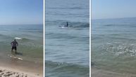 Panika na plaži, ponovo viđene ajkule: Plivale svega pedesetak metara od obale
