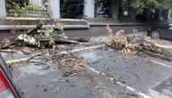 Na parkingu u centru Beograda pronašli smo sručeno granje: Kada je palo stradao je jedan auto