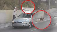 Deda iz čista mira kamenom gađao psa na ulici u Užicu: Jadna životinja umalo podletela pod točkove