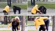 Šimpanza pobegla iz zoo vrta, pa prošetala ulicama Harkova: Sve oduševio gest čuvara