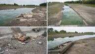 "Ovo je sada mrtvo jezero": Pretužan prizor kod Čonoplje, ispucala zemlja i skeleti riba umesto vode i života