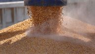 Ovonedeljno stanje na Produktnoj berzi: Porasle cene kukuruza i pšenice