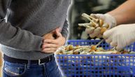 Gljivarski savez traži zabranu prodaje gljiva na pijaci: Mali broj ljudi je obučen da prepozna otrovne