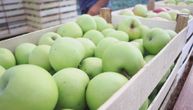 "Instead of 12 tons I only harvested 5": First the frost, then the drought cut this year's apple yield in half