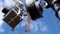 Antena nije radila, a kada su je otvorili imali su šta i da vide: Veverica sakrila 150 kg žira