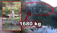 Surova računica sa mosta smrti kod Ovčar Banje: Pre pada trpeo težinu od najmanje 1.680 kilograma