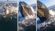 Snimak za ostavljanje bez daha: Ogroman kit iskočio iz mora i umalo prepolovio čamac, pecaroši u šoku!