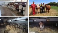 "Više nisam optimista da može da bude bolje": Veroljubova farma skoro potpuno prazna, mora da proda sve krave