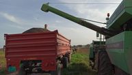 Davidovići na pet hektara imali "dve žetve": Posle pšenice sejali suncokret, a ovo je otkupna cena