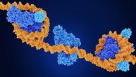 Epigenetika i rak: Naučnici na tragu otkrića lečenja karcinoma proučavanjem genetskih promena