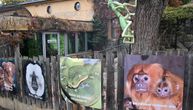 Kraljevska kobra pobegla iz Zoo vrta, posle šest dana locirana u zgradi: I dalje je na slobodi