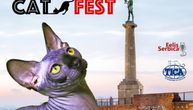 Felis Serbica: Prvi "Belgrade Cat Fest"