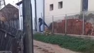 Uznemirujući snimak iz Paraćina: Muškarac zverski udara psa drvenim štapom, životinja zavija od bolova