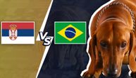 Ko pobeđuje večeras Srbija ili Brazil: Kobijeva prognoza meča koji svi dugo čekamo