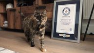 Flosi je najstarija živa mačka na svetu: Uskoro puno 27 godina, ušla u Ginisovu knjigu rekorda
