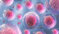 Zamrzavanje reproduktivnog materijala pomoći će i onkološkim pacijentima: Čeka se "zeleno svetlo" Ministarstva
